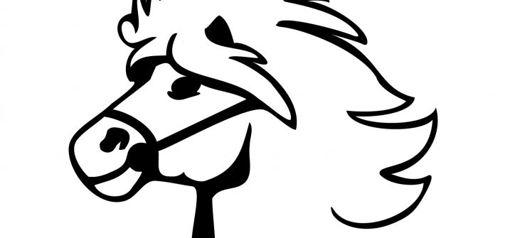 IPZV Nordbayern e.V. – Islandpferde Reiter und Züchterverband Regionalverein Nordbayern e.V.