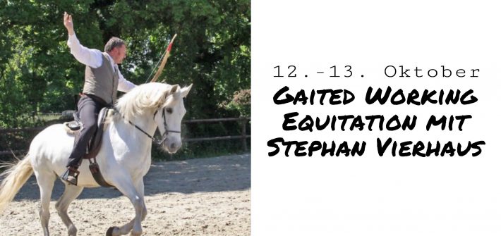 Gaited Working Equitation