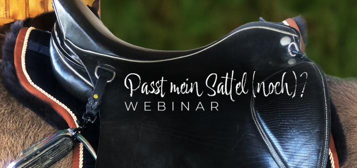 Webinar zum Thema Sattelpassform des IPZV Nordbayern e.V.