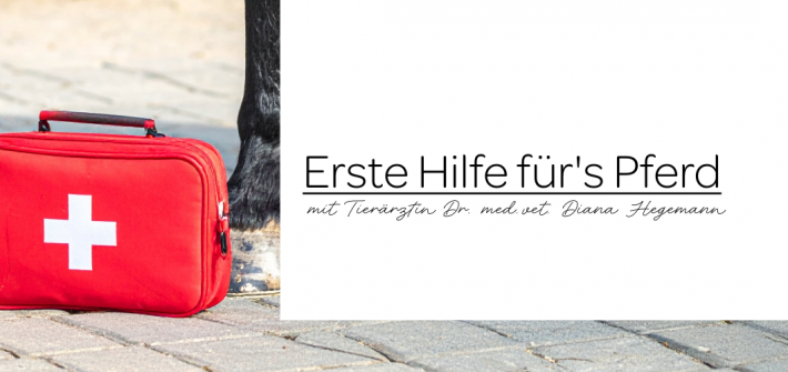Erste Hifle fürs Pferd