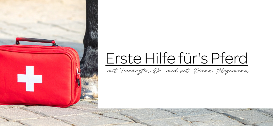 Erste Hifle fürs Pferd